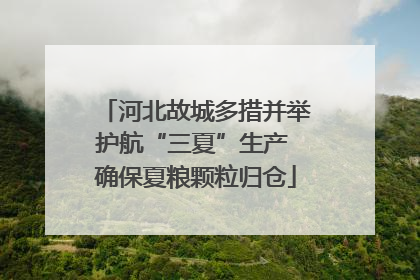 河北故城多措并举护航“三夏”生产 确保夏粮颗粒归仓