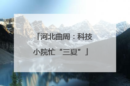河北曲周：科技小院忙“三夏”