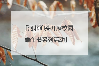 河北泊头开展校园端午节系列活动