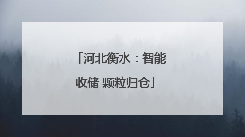 河北衡水：智能收储 颗粒归仓