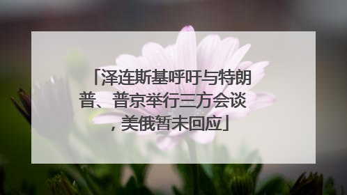 泽连斯基呼吁与特朗普、普京举行三方会谈，美俄暂未回应
