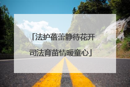 法护蓓蕾静待花开 司法育苗情暖童心