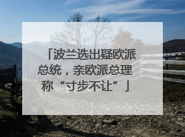 波兰选出疑欧派总统，亲欧派总理称“寸步不让”