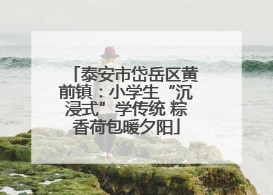 泰安市岱岳区黄前镇：小学生“沉浸式”学传统 粽香荷包暖夕阳