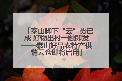 泰山脚下“云”势已成 好物出村一触即发——泰山好品农特产供销云仓即将启用