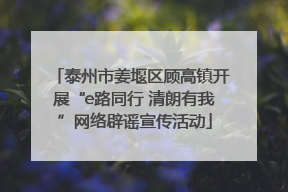 泰州市姜堰区顾高镇开展“e路同行 清朗有我”网络辟谣宣传活动