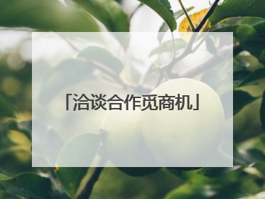 洽谈合作觅商机