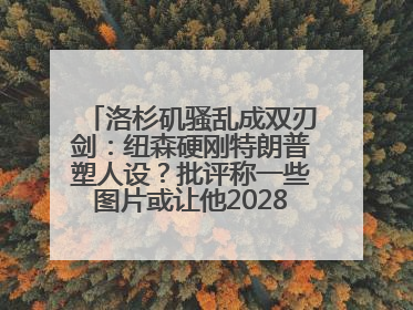 洛杉矶骚乱成双刃剑：纽森硬刚特朗普塑人设？批评称一些图片或让他2028总统梦碎