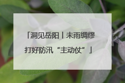 洞见岳阳丨未雨绸缪 打好防汛“主动仗”