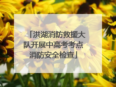 洪湖消防救援大队开展中高考考点消防安全检查