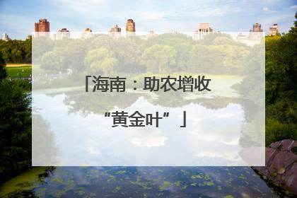 海南：助农增收 “黄金叶”