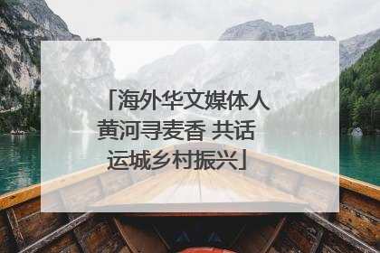 海外华文媒体人黄河寻麦香 共话运城乡村振兴
