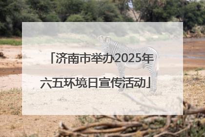 济南市举办2025年六五环境日宣传活动