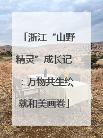 浙江“山野精灵”成长记：万物共生绘就和美画卷