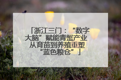 浙江三门：“数字大脑”赋能青蟹产业 从育苗到养殖重塑“蓝色粮仓”