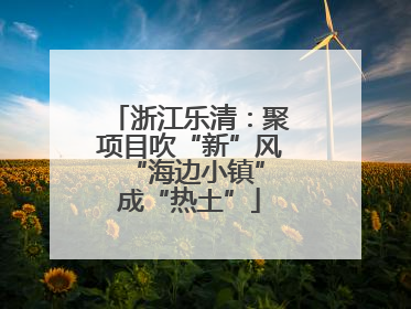 浙江乐清：聚项目吹“新”风 “海边小镇”成“热土”
