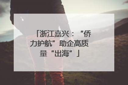浙江嘉兴：“侨力护航”助企高质量“出海”