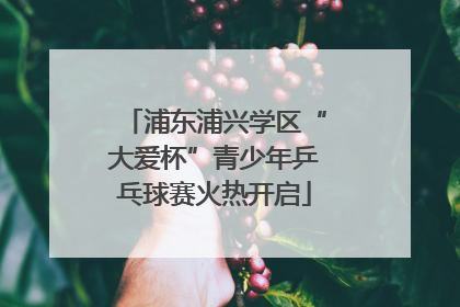 浦东浦兴学区“大爱杯”青少年乒乓球赛火热开启
