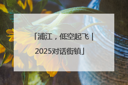 浦江，低空起飞｜2025对话街镇