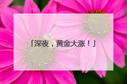 深夜，黄金大涨！
