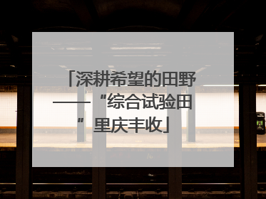 深耕希望的田野——“综合试验田”里庆丰收