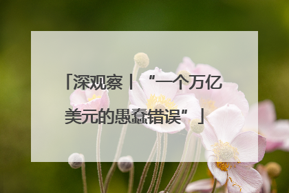 深观察丨“一个万亿美元的愚蠢错误”