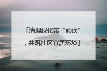 清理绿化带“顽疾”，共筑社区宜居环境