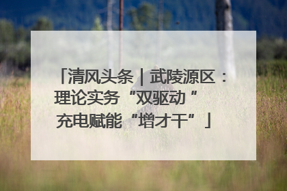 清风头条｜武陵源区：理论实务“双驱动 ” 充电赋能“增才干”