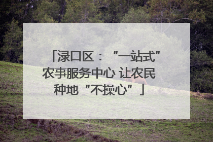 渌口区：“一站式”农事服务中心 让农民种地“不操心”