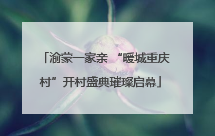 渝蒙一家亲 “暖城重庆村”开村盛典璀璨启幕