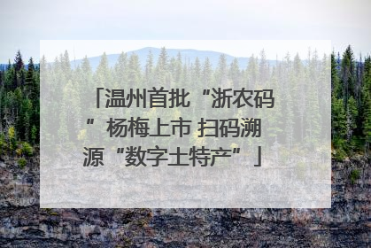 温州首批“浙农码”杨梅上市 扫码溯源“数字土特产”