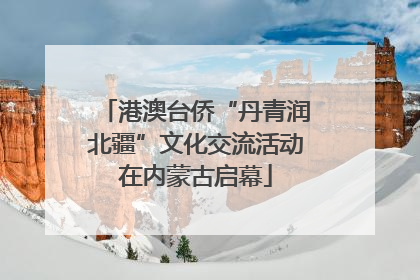 港澳台侨“丹青润北疆”文化交流活动在内蒙古启幕
