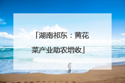 湖南祁东：黄花菜产业助农增收