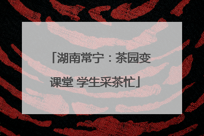 湖南常宁：茶园变课堂 学生采茶忙