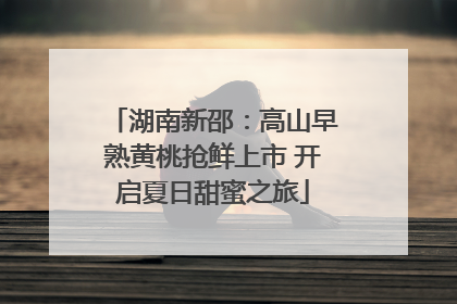 湖南新邵：高山早熟黄桃抢鲜上市 开启夏日甜蜜之旅