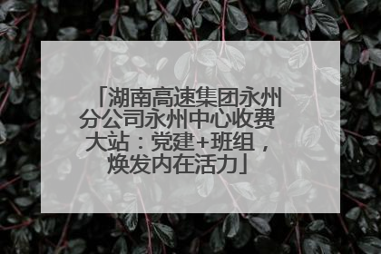 湖南高速集团永州分公司永州中心收费大站：党建+班组，焕发内在活力