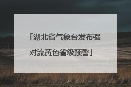 湖北省气象台发布强对流黄色省级预警
