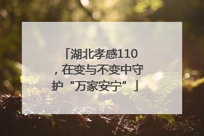 湖北孝感110，在变与不变中守护“万家安宁”