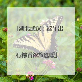湖北武汉：端午出行粽香浓旅途暖
