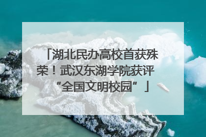 湖北民办高校首获殊荣！武汉东湖学院获评“全国文明校园”