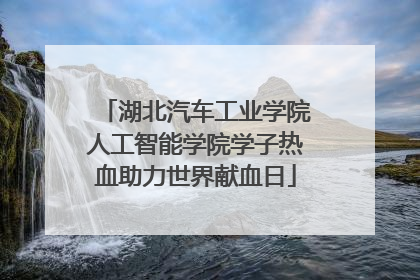 湖北汽车工业学院人工智能学院学子热血助力世界献血日