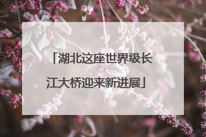 湖北这座世界级长江大桥迎来新进展