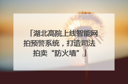 湖北高院上线智能网拍预警系统，打造司法拍卖“防火墙”