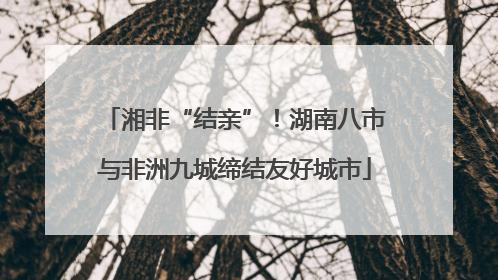 湘非“结亲”！湖南八市与非洲九城缔结友好城市