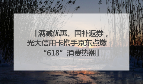 满减优惠、国补返券，光大信用卡携手京东点燃“618”消费热潮
