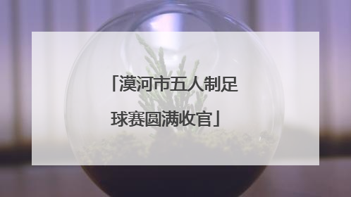漠河市五人制足球赛圆满收官