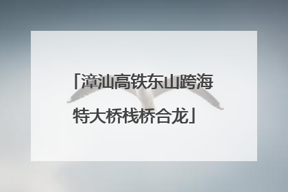 漳汕高铁东山跨海特大桥栈桥合龙