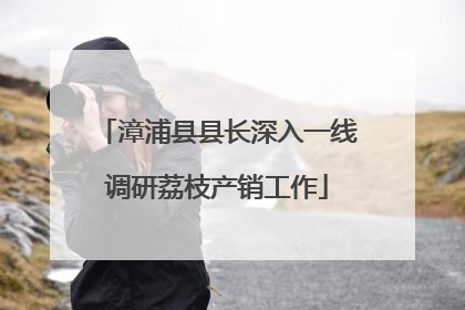 漳浦县县长深入一线调研荔枝产销工作