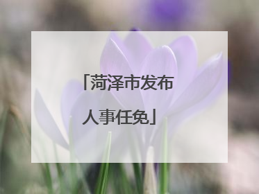 菏泽市发布人事任免