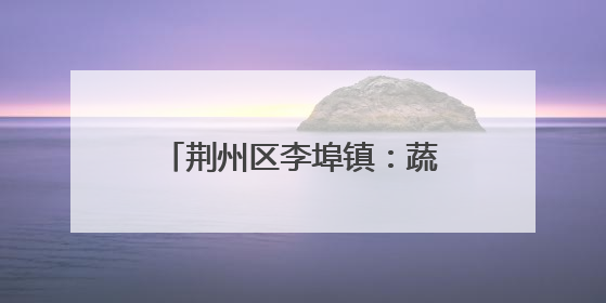荆州区李埠镇：蔬菜大镇瓜果飘香 “甜蜜产业”开辟农民增收“新赛道”